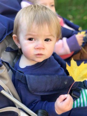 2-year-old_enjoying_nature_during_walk_cadence_academy_preschool_sellwood_portland_or-338x450