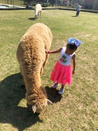 2-year-old_girl_petting_goat_the_bridge_learning_center_carrollton_ga-338x450