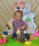 2-year-old_girl_playing_with_chicks_at_the_peanut_gallery_temple_tx-386x450