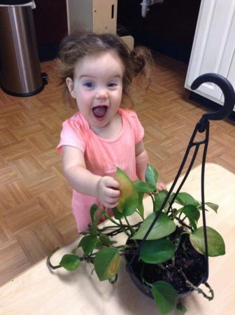 2-year-old_girl_with_plant_stonebridge_academy_bremen_ga-336x450