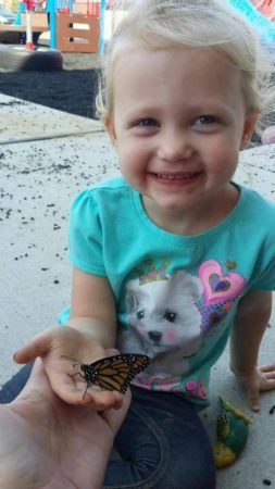 2-year-old_holding_butterfly_rogys_learning_place_morton_il-253x450