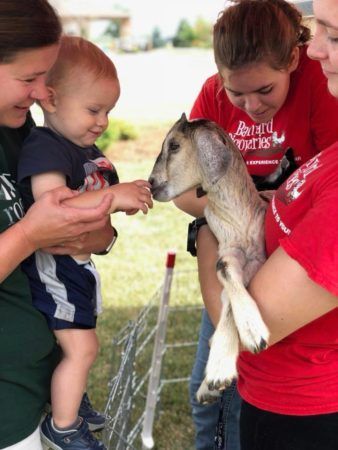 2-year-old_petting_goat_rogys_learning_place_morton_il-338x450