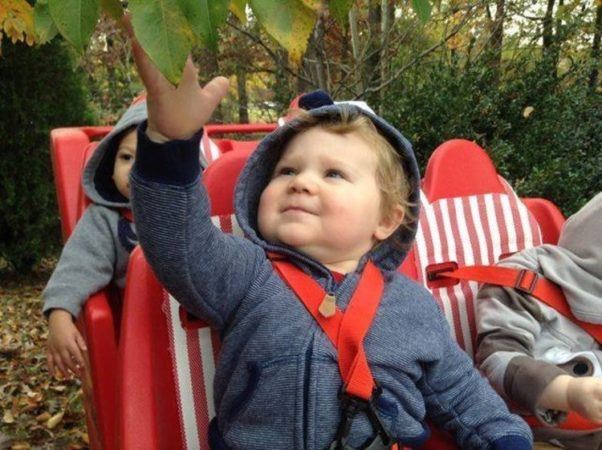 2-year-old_touching_leaf_on_bye-bye_buggie_fredericksburg_childrens_academy_fredericksburg_va-602x450