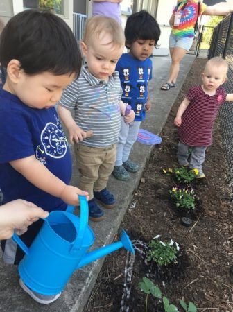 2-year-olds_watering_plants_cadence_academy_preschool_tualatin_or-336x450
