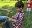 Child petting snake at Crestwood Preschool