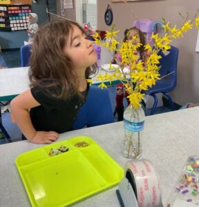 Child smelling flowers inside at Creative Kids Childcare Centers Beekman