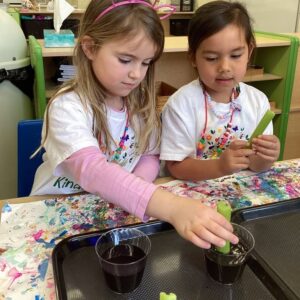 cadence-academy-preschool-ridgefield-541 (4)