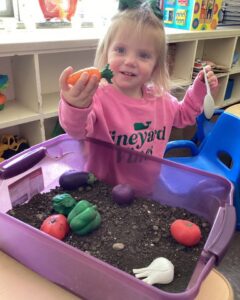 cadence-academy-preschool-ridgefield-541 (8)