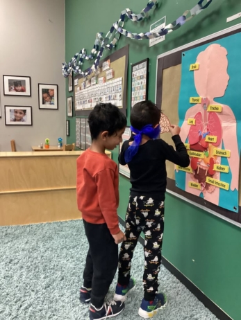 children learning anatomy in classroom at preschool and daycare cadence academy preschool nolensville 504