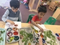 children using leaves to paint at preschool and daycare at cadence academy preschool at boyd's corner in middletown, Deleware