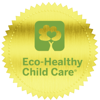 Eco-Healthy Child Care logo badge