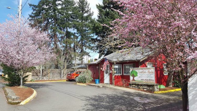 exterior_with_tree_in_bloom_cadence_academy_preschool_portland_or-752x423