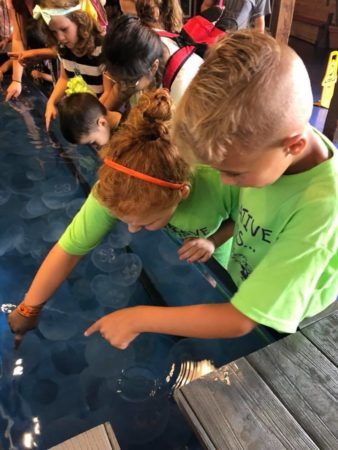 field_trip_to_aquarium_creative_kids_childcare_centers_kent-338x450