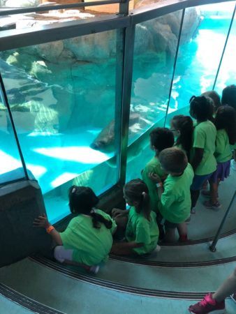 field_trip_to_the_aquarium_creative_kids_childcare_centers_mahopac-338x450