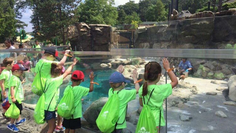 field_trip_to_the_zoo_prime_time_early_learning_centers_paramus_nj-752x423
