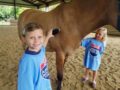 field_trip_to_visit_horses_cadence_academy_preschool_wilmington_nc-600x450