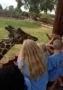 field_trip_to_zoo_at_phoenix_childrens_academy_private_preschool_union_hills-315x450