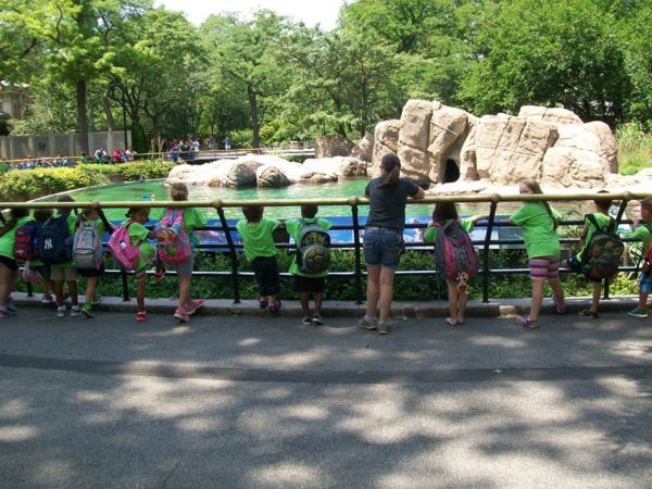 field_trip_to_zoo_creative_kids_childcare_centers_brewster-600x450