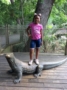 field_trip_to_zoo_the_peanut_gallery_temple_tx-333x450