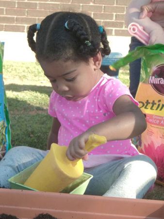 girl_digging_in_soil_carolina_kids_child_development_center_fort_mill_sc-338x450