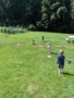 grassy_area_and_garden_at_creative_kids_childcare_centers_beekman-338x450