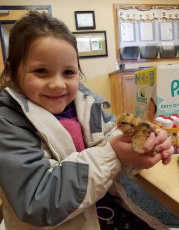 happy-_preschool_girl_holding_chick_cadence_academy_preschool_kays_normal_il-350x450