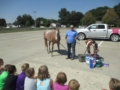 horse_presentation_cadence_academy_before_and_after_school_norwalk_ia-600x450