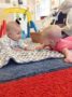 infants_enjoying_tummy_time_at_cadence_academy_ballantyne_charlotte_nc-336x450