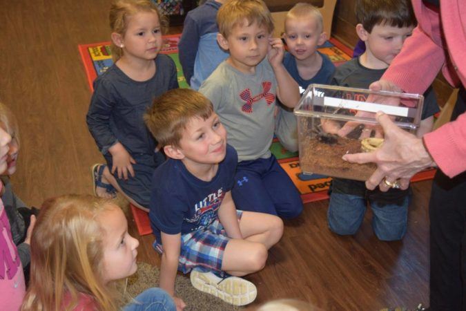 learning_about_spiders_at_cadence_academy_preschool_rogers_ar-675x450