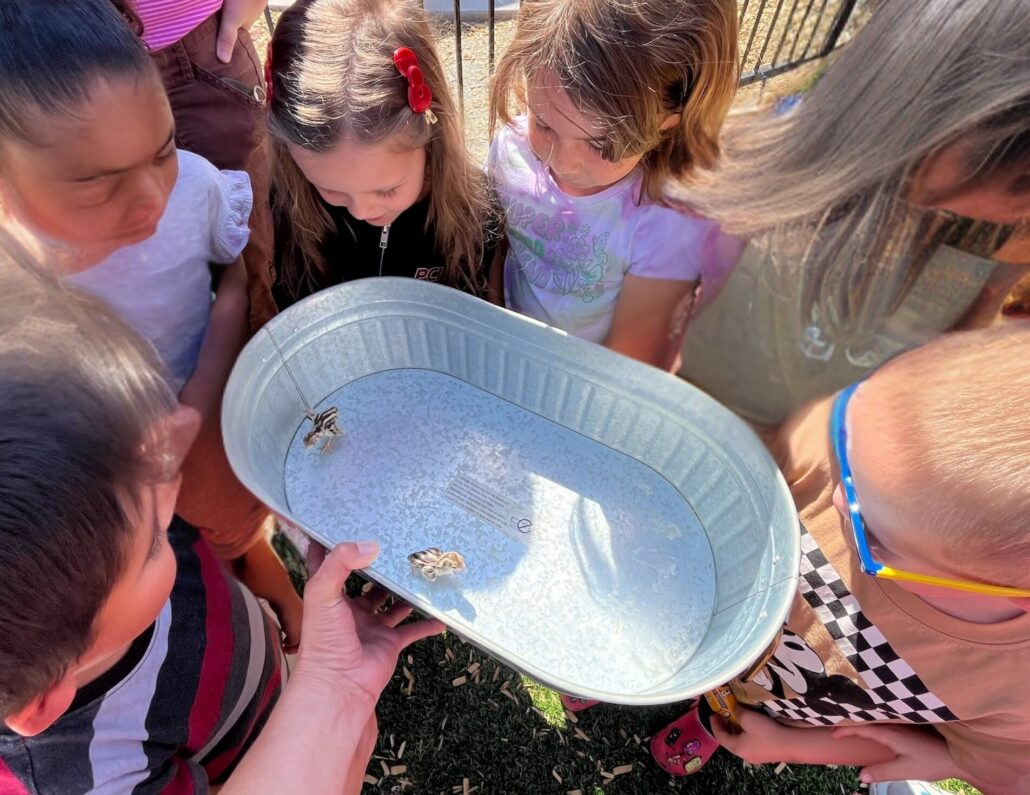 Photo of children gathered around a chick at Cadence Academy Preschool Estrella Mountain