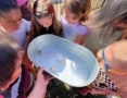 Photo of children gathered around a chick at Cadence Academy Preschool Estrella Mountain