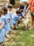 petting_a_goat_at_carolina_kids_child_development_center_rock_hill_sc-338x450