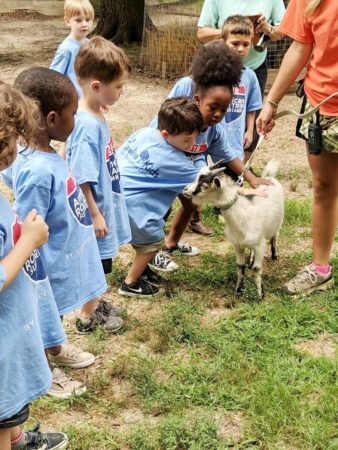 petting_a_goat_at_carolina_kids_child_development_center_rock_hill_sc-338x450