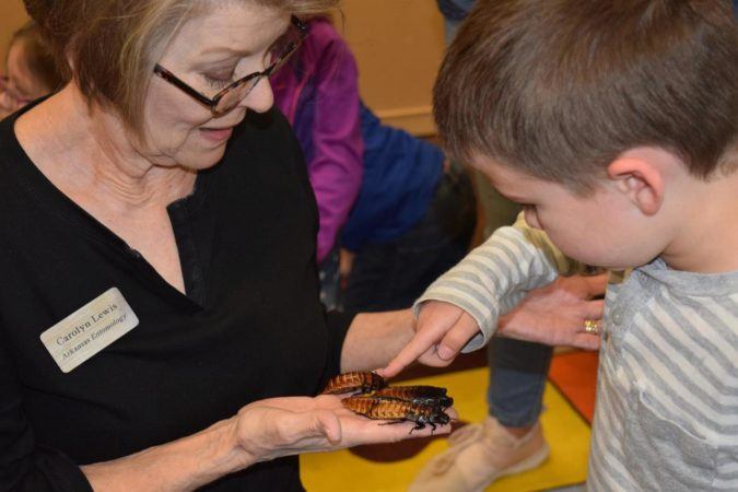 petting_cockroaches_at_cadence_academy_preschool_rogers_ar-675x450