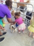 petting_goat_at_petting_zoo_cadence_academy_preschool_surfside_myrtle_beach_sc-338x450