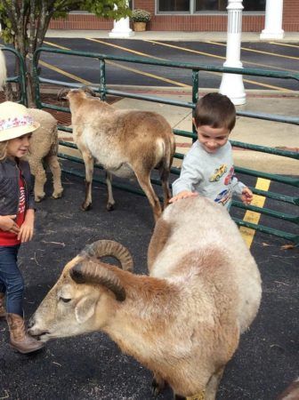 petting_zoo_at_cadence_academy_preschool_burr_ridge_il-336x450