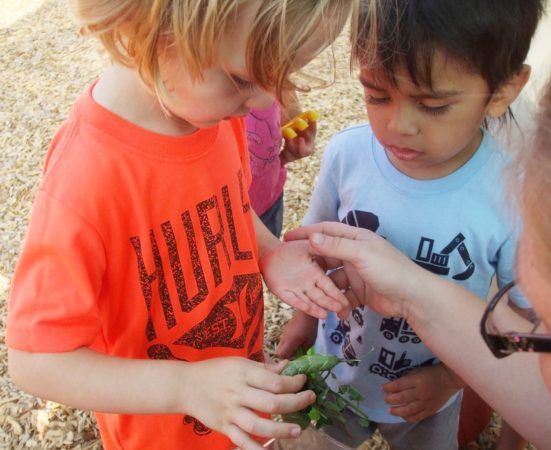 playing_with_bug_on_playground_at_cadence_academy_preschool_carmichael_ca-551x450