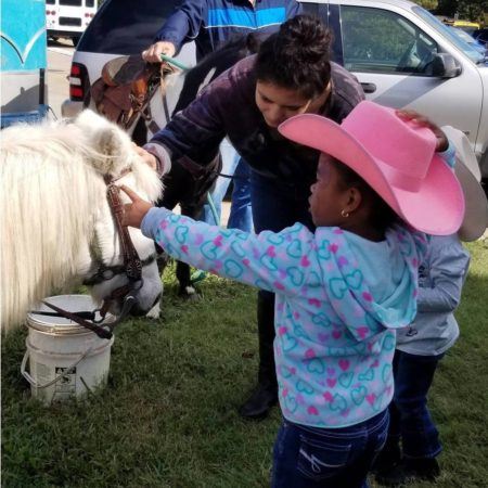 pony_at_the_petting_zoo_at_cadence_academy_preschool_allen_tx-450x450