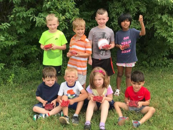 pre-kindergarten_children_picking_raspberries_cadence_academy_preschool_chesterfield_hilltown_mo-600x450