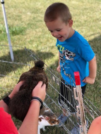 preschool_boy_checking_out_chicken_during_petting_zoo_rogys_learning_place_morton_il-338x450
