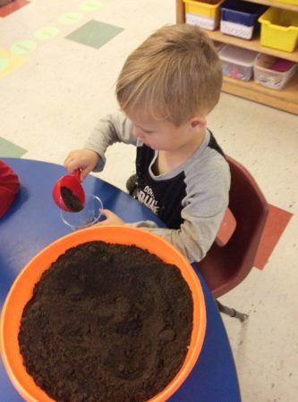 preschool_boy_creating_a_cup_garden_cadence_academy_preschool_myrtle_beach_sc-333x450