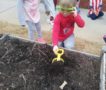 preschool_boy_digging_in_dirt_sunbrook_academy_at_barnes_mill_austell_ga-528x450