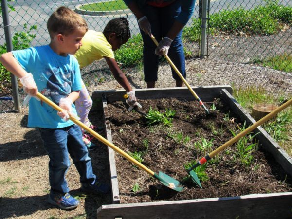preschool_boy_digging_in_garden_with_shovel_at_cadence_academy_preschool_harbison_columbia_sc-600x450