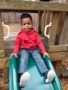 preschool_boy_going_down_slide_cadence_academy_preschool_portland_or-338x450