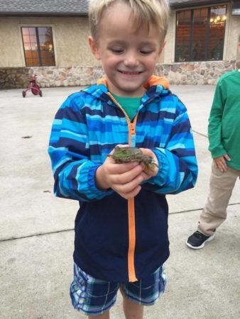 preschool_boy_holding_a_frog_at_bearfoot_lodge_private_school_wylie_tx-338x450