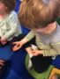 preschool_boy_holding_bug_cadence_academy_preschool_milwaukie_portland_or-338x450