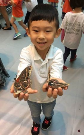 preschool_boy_holding_moths_bent_tree_child_development_center_addison_tx-282x450