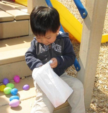 preschool_boy_looking_through_easter_eggs_at_cadence_academy_ballantyne_charlotte_nc-979x1024-430x450