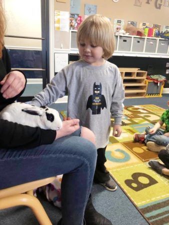 preschool_boy_petting_a_rabbit_mirror_lake_academy_villa_rica_ga-338x450