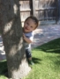 preschool_boy_playing_behind_tree_at_bent_tree_child_development_center_addison_tx-338x450